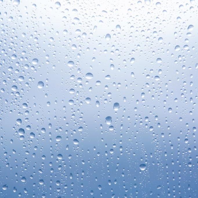 Vacuum Packaging: The Core Industry Technology Beyond Freshness Preservation Vacuum Packaging: The Core Industry Technology Beyond Freshness Preservation
