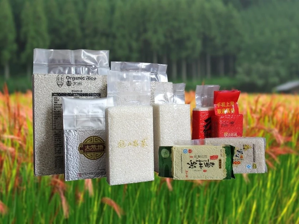 Semi-Automatic Rice Brick Vacuum Packaging Machine factory